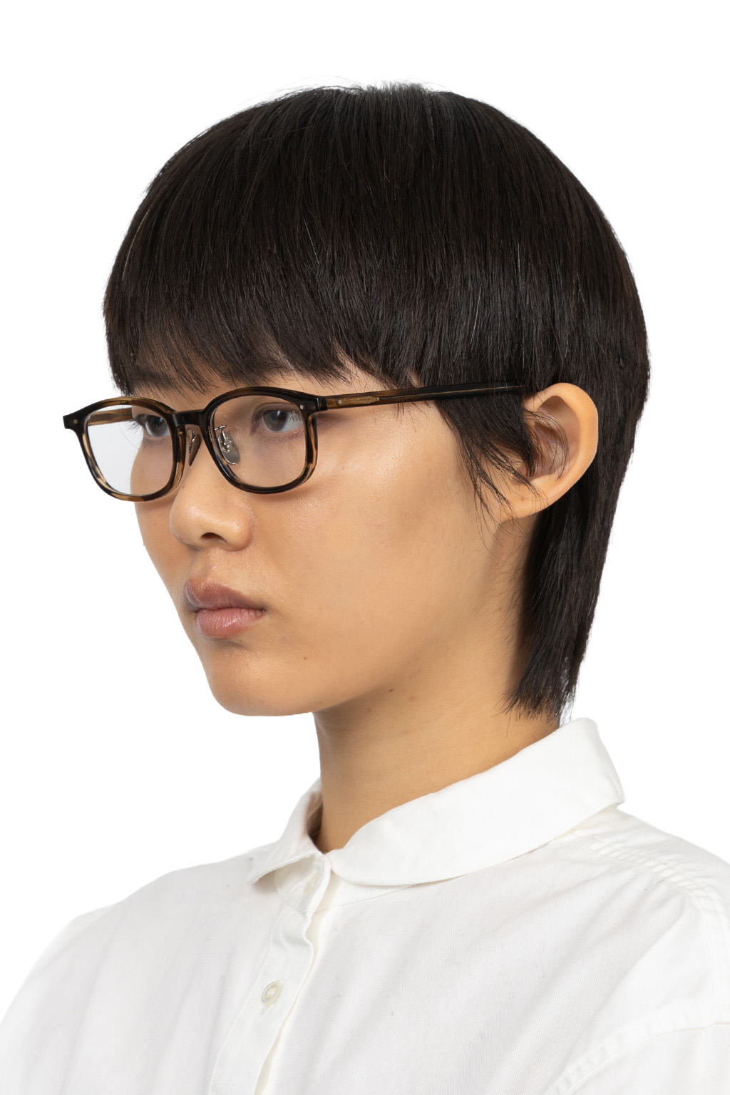 ARCH OPTICAL - Aa-WLT II - BRS2 