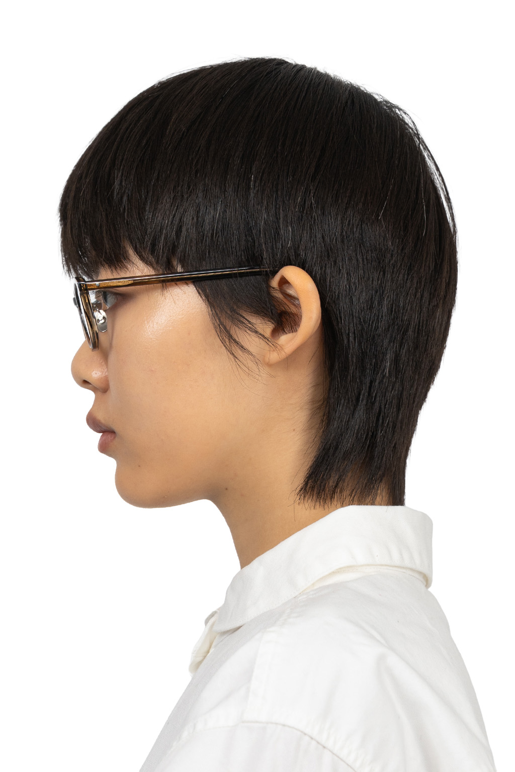 ARCH OPTICAL - Aa-WLT II - BRS2 